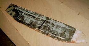 Ruderblattrohling in CFK